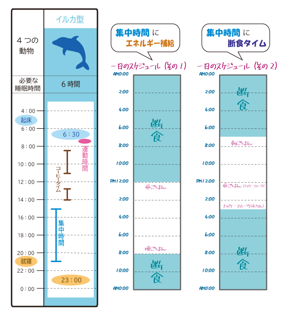 16時間断食が失敗しないスケジュール クロノタイプ別の時間割 ノンノのブログ はんなり 心と身体のスリム化計画