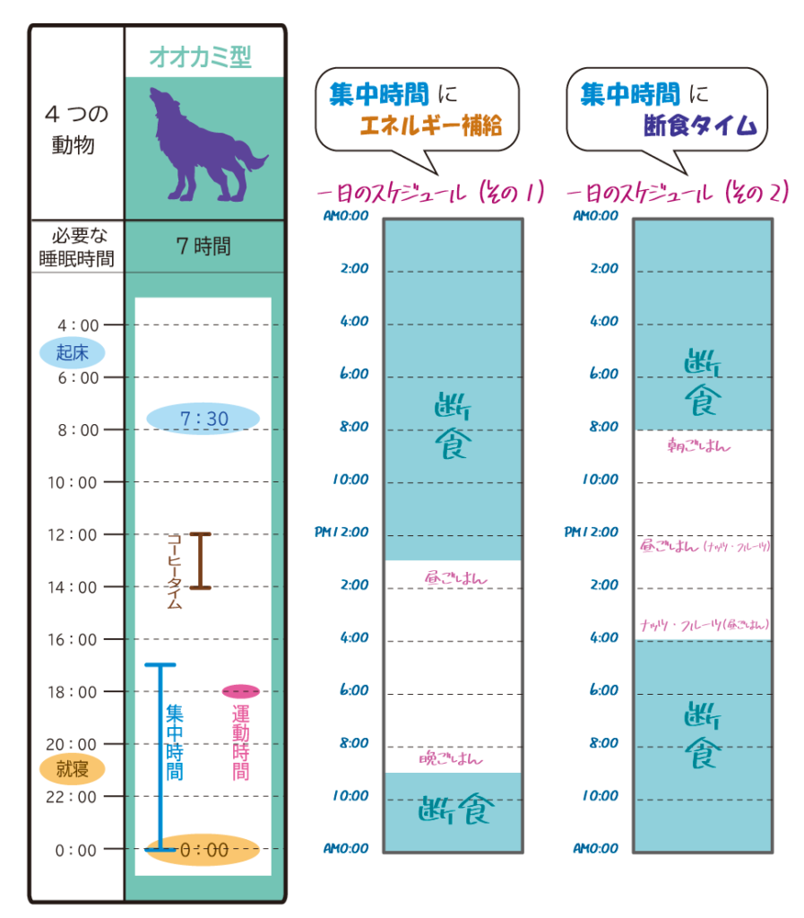 16時間断食が失敗しないスケジュール クロノタイプ別の時間割 ノンノのブログ はんなり 心と身体のスリム化計画