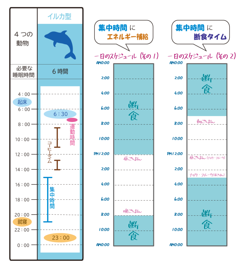 イルカ型クロノタイプの生活リズムとスケジュール