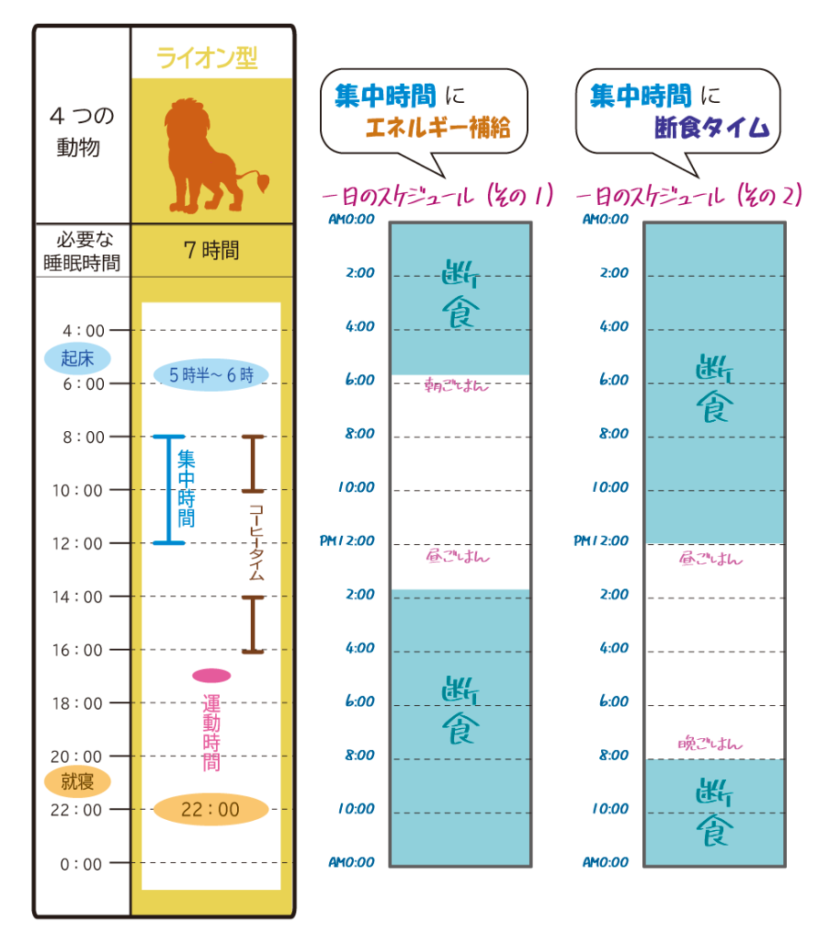 ライオン型クロノタイプの生活リズムとスケジュール