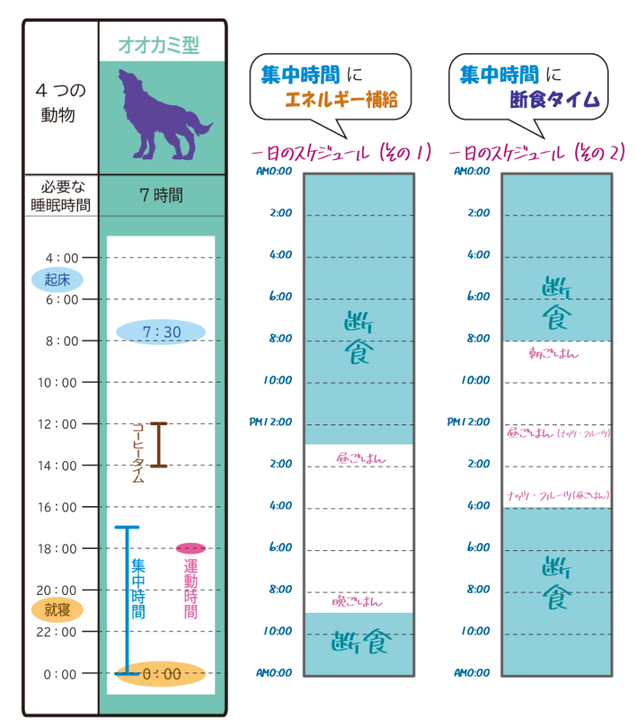 オオカミ型クロノタイプの生活リズムとスケジュール