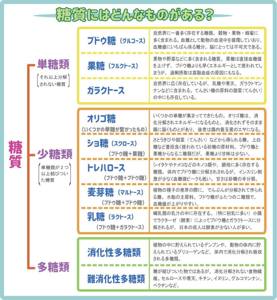 糖質の種類と特徴一覧表