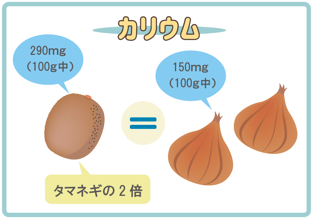 カリウムの含有量の比較表