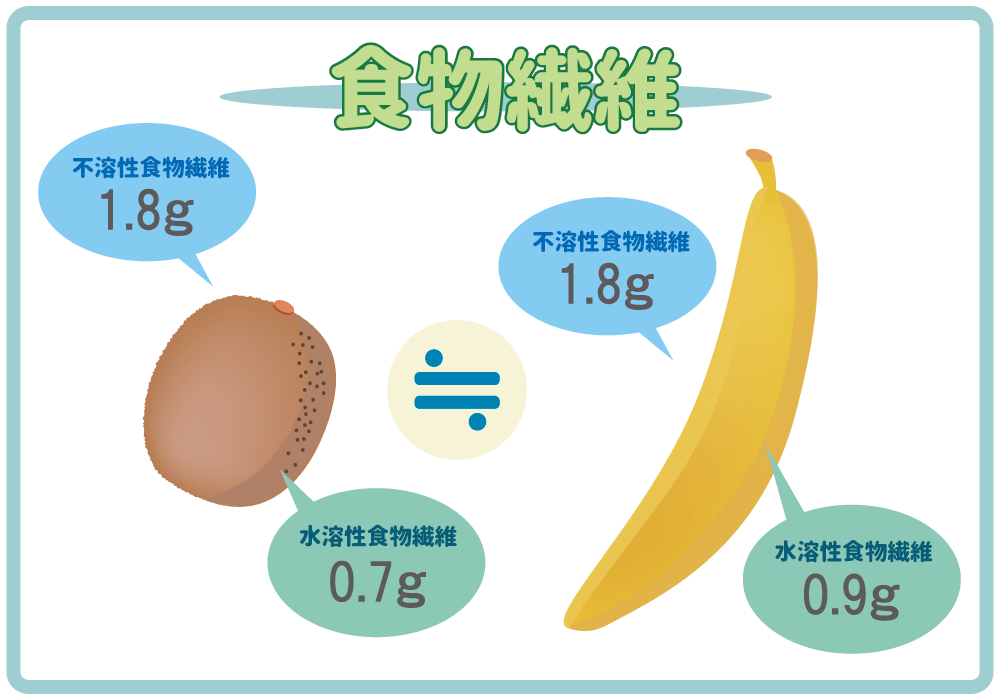 食物繊維の量の比較表
